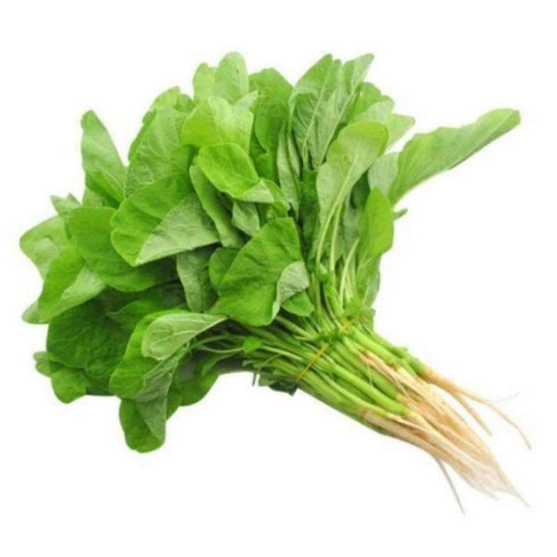 Bayam